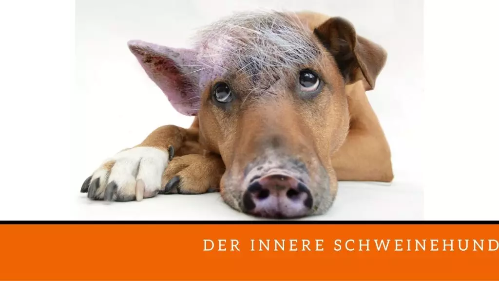 Innerer Schweinehund Tierarzt