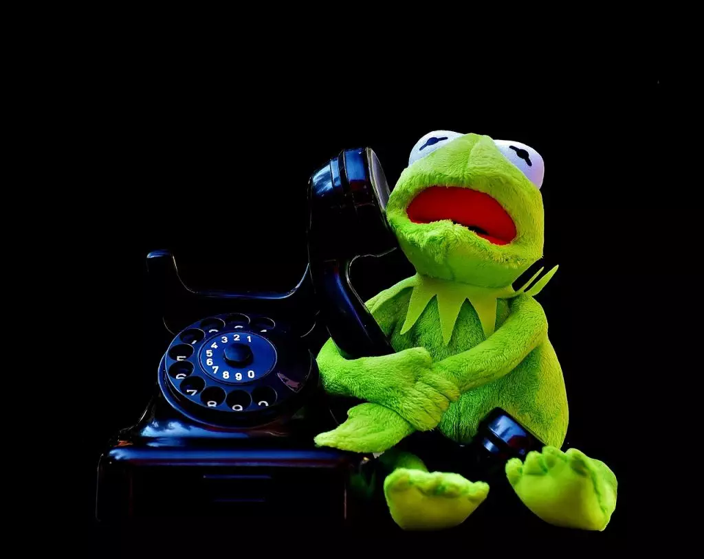 Kommunikation Telefon Kermit Tierarzt