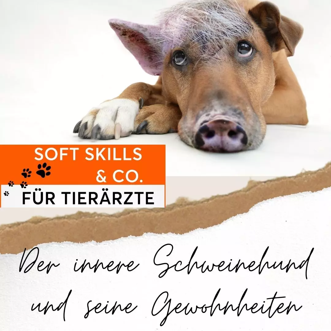 Soft Skills & Co für Tierärzte